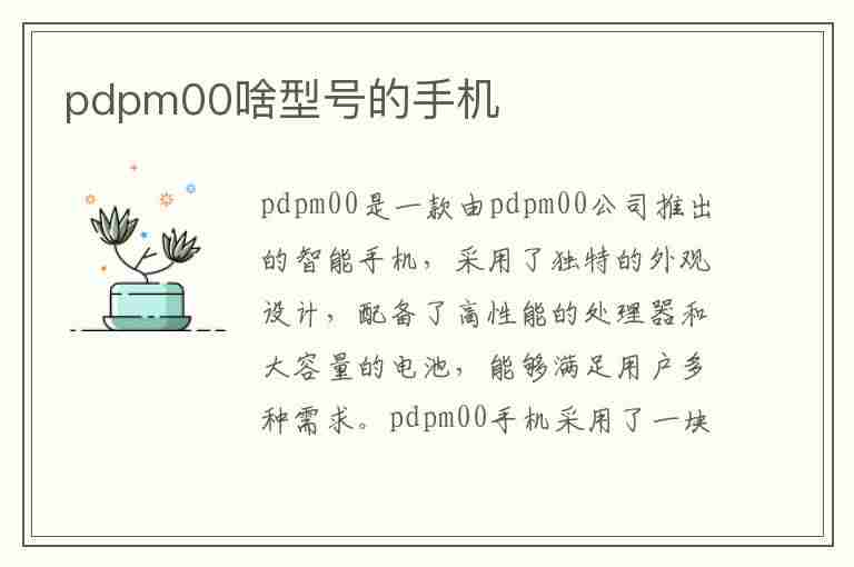 pdpm00啥型号的手机(pdvm00型号的手机)